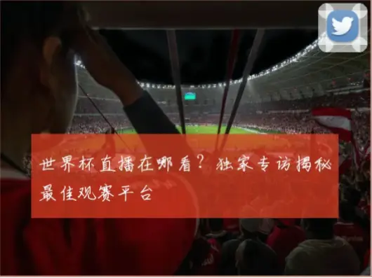 世界杯直播观看哪个平台信号最稳定？